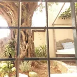 Iremia