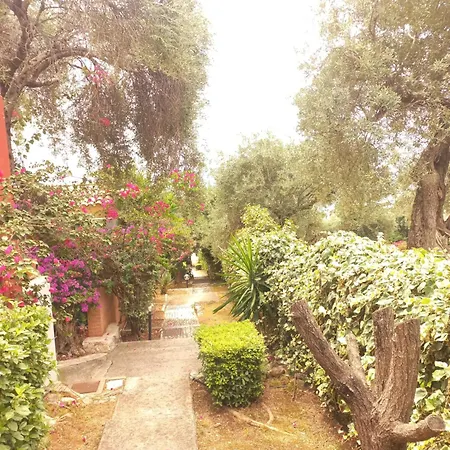 Iremia Μπαρμπάτι